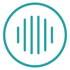 a built in speaker is a feature of a Voxblock audiobook player