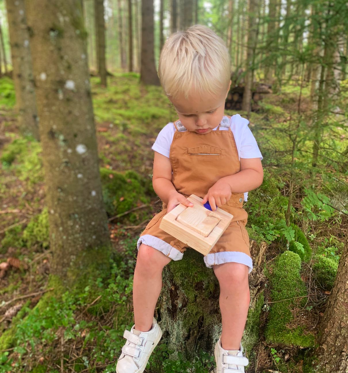 A young boy sits on a tree stump in a forrest. He plays with a wooden Voxblock prototype.