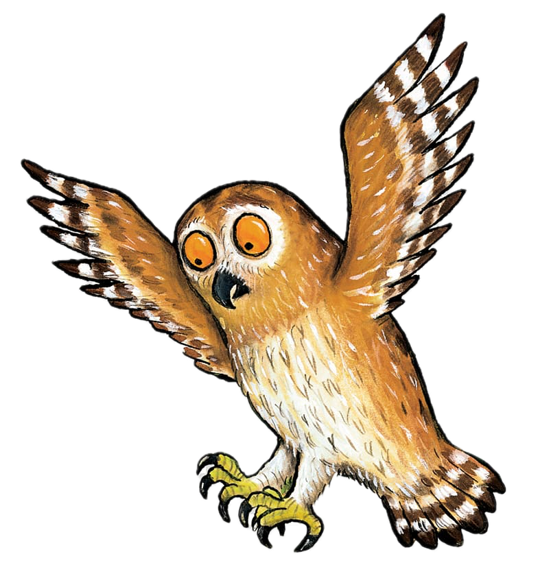 Owl