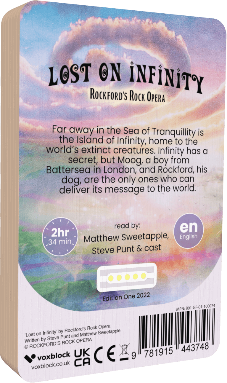 Lost on Infinity Audiobook